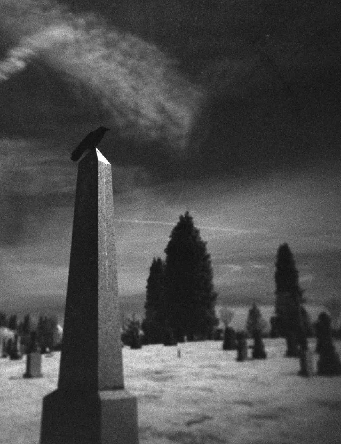 An Omen shot on Agfa Aviphot Pan 200 with a Holga 120N, developed at Home / Self-Developed, by PB