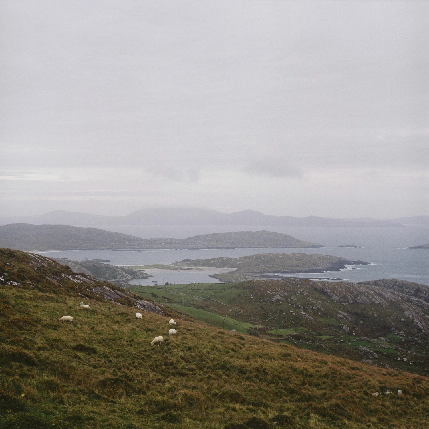 Com an Chiste shot on Kodak Portra 400 with a Yashica Mat 124, by Marc Argentique