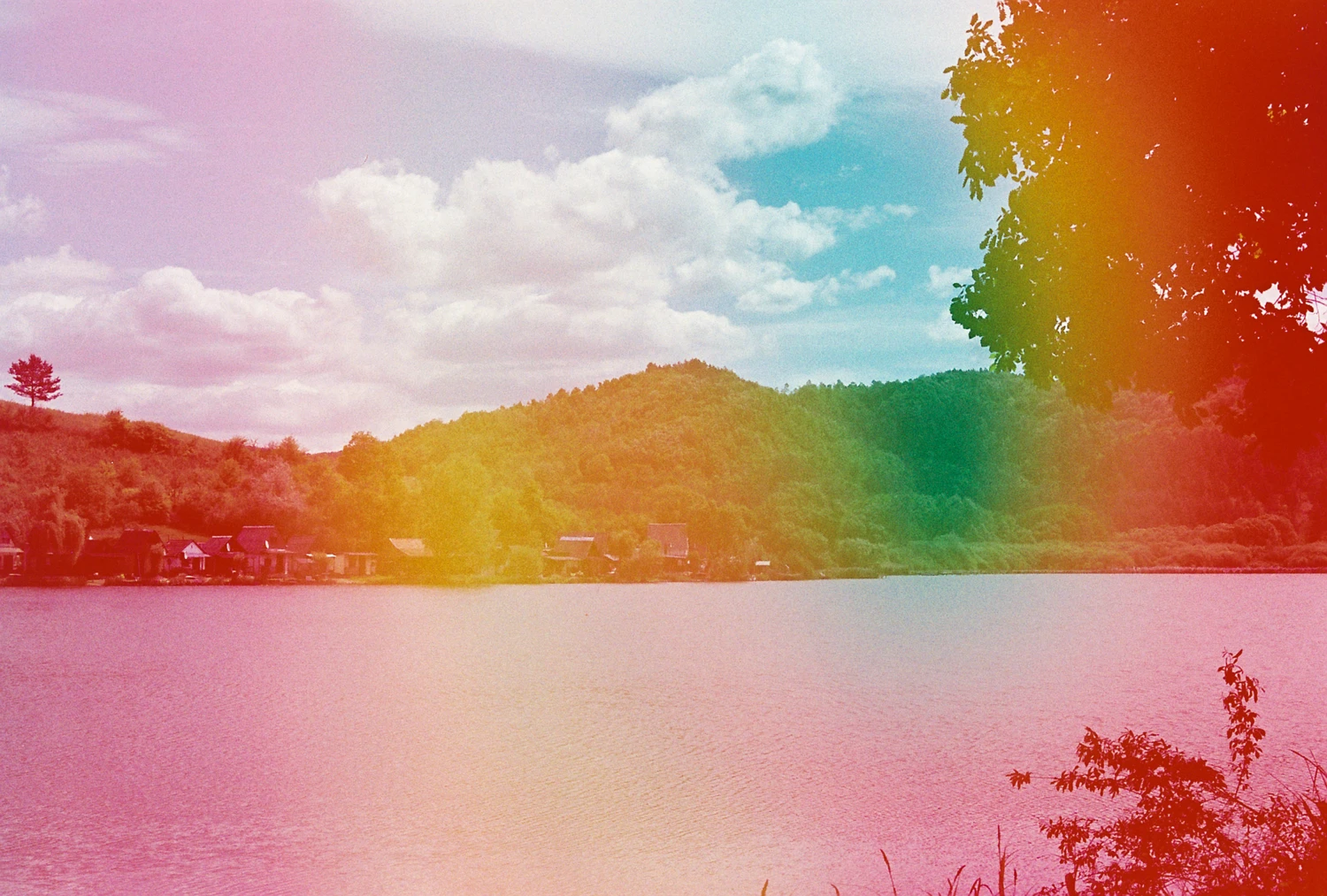 Film photo shot on Dubblefilm Jelly 400 with a Konica Autoreflex T4, by Maryca