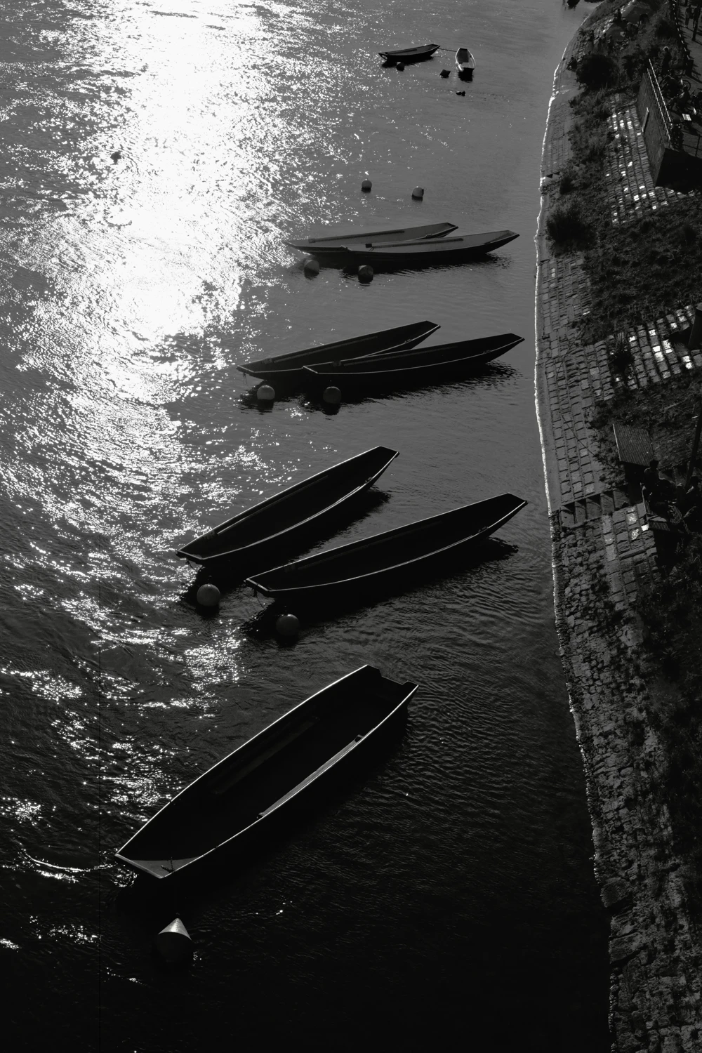 Rhein boats in Basel shot on Fujifilm Neopan Acros 100 II with a Hasselblad 2000 FCW, by Robster lobster