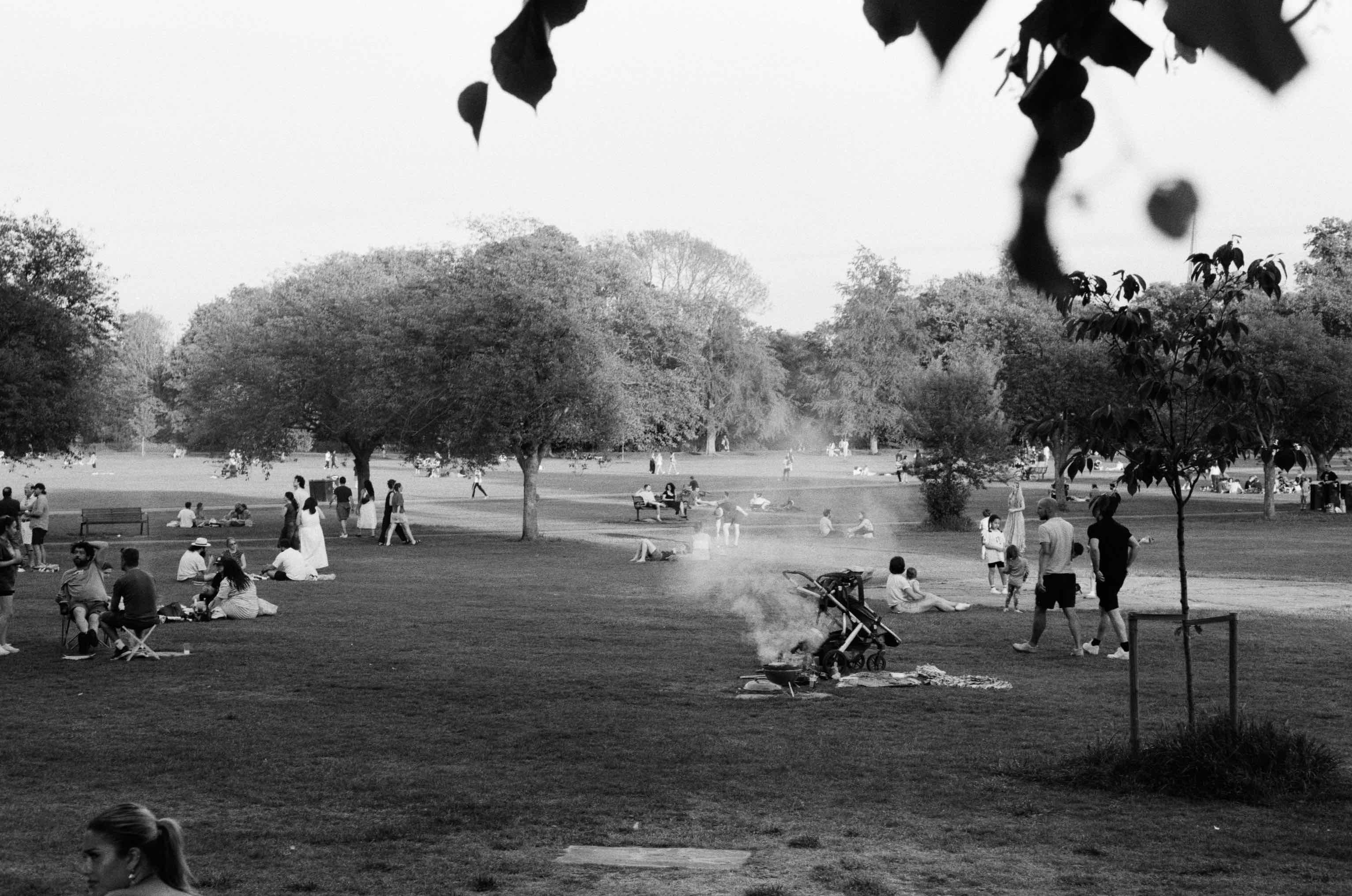 barbecue in the park shot on Ilford Kentmere Pan 400 with a Pentax MV1, developed at Southsun, by Paulina