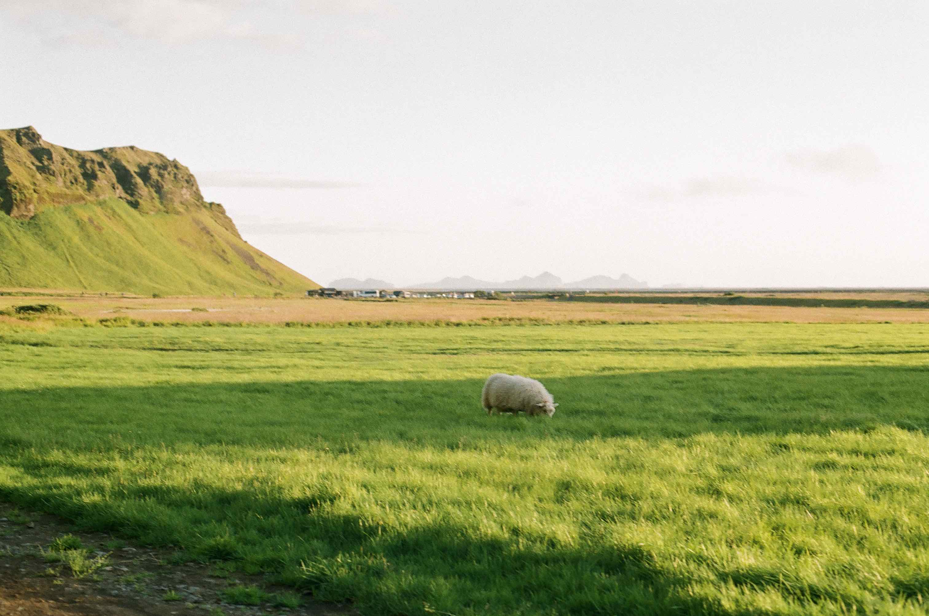 Iceland shot on Fujifilm FujiColor 100 with a Canon A-1, by Josh
