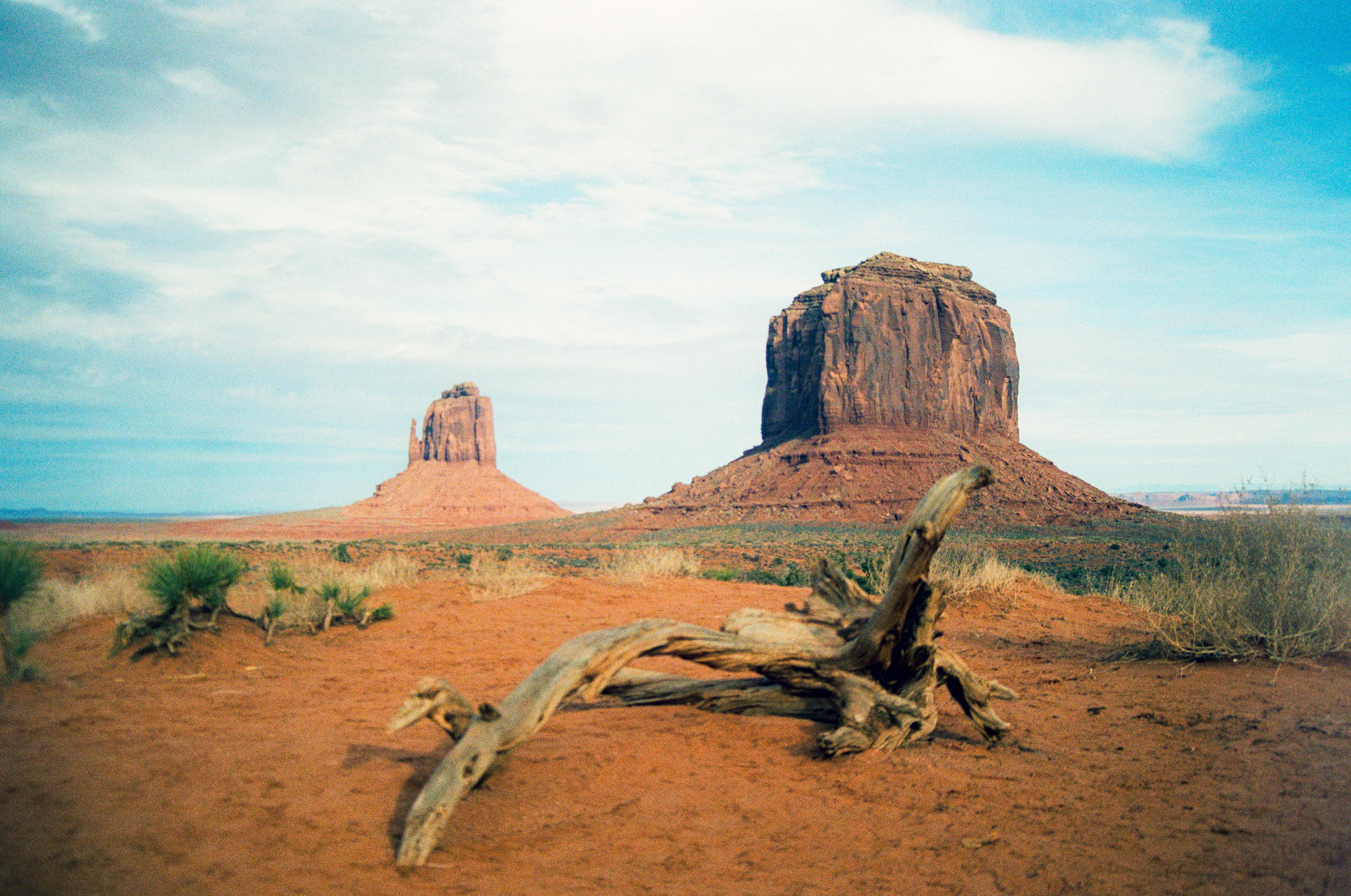 The remnant of long ago shot on Kodak UltraMax 400 with a Minolta X-700, developed at Memphis Film Lab, by Matcal (Always_Be_Negative_)