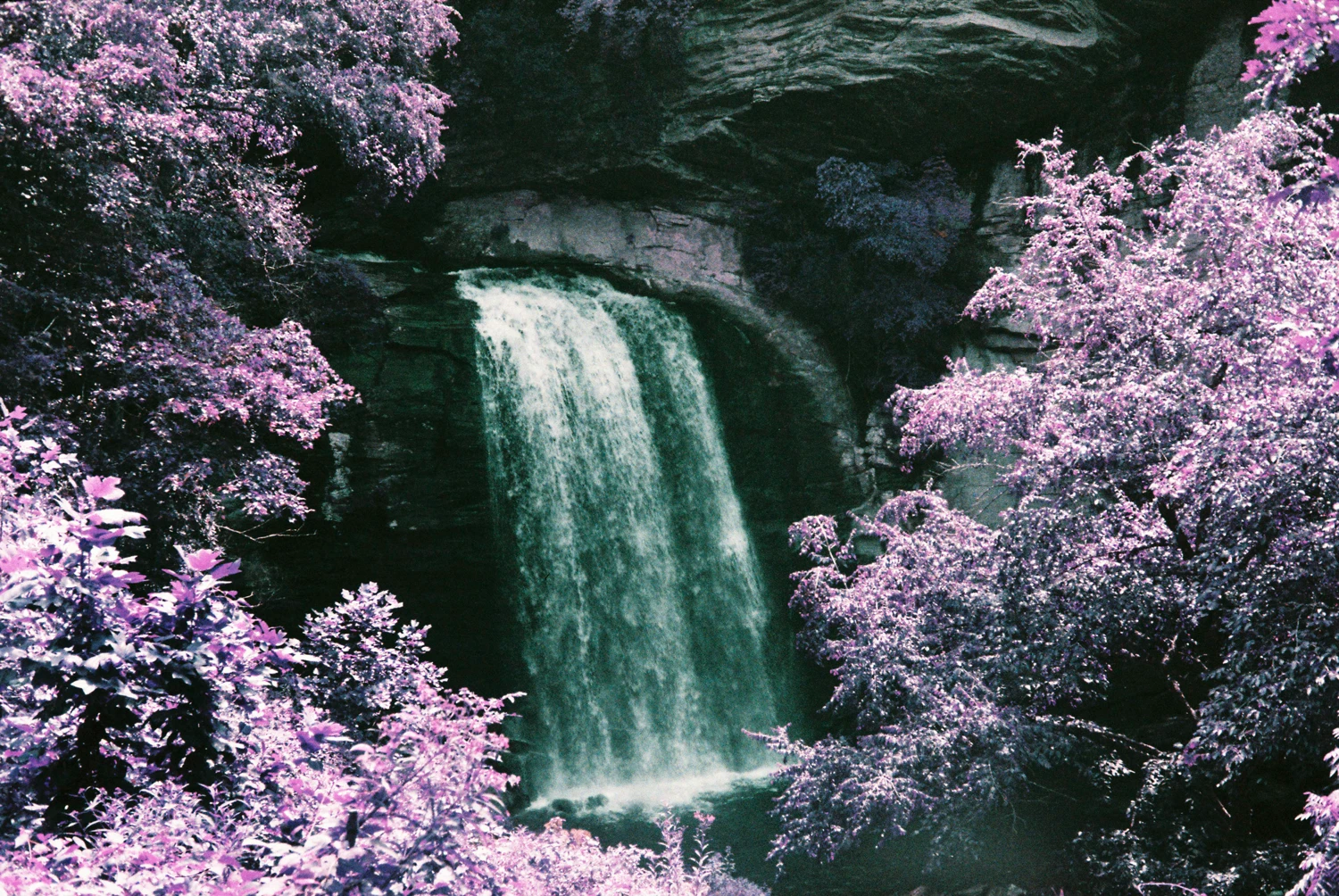 Looking Glass Falls shot on Lomography LomoChrome Purple 100 with a Petri 7S, by Jeffrey Stites