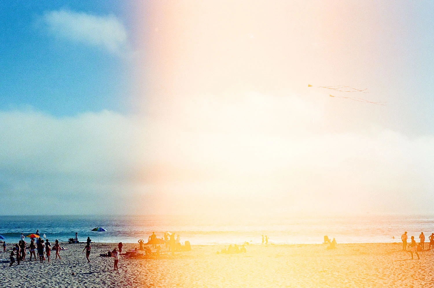summer light leaks shot on Lomography CN 400 with a Nikon F3T, by Allison Jacobs