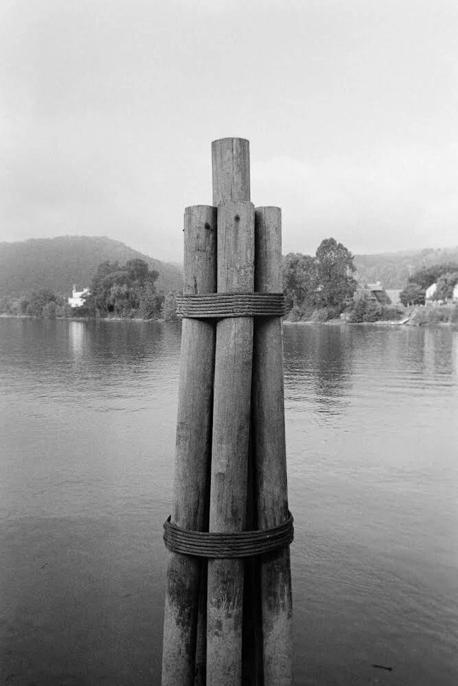 Untitled shot on Kodak Tri-X 400 with a Olympus Infinity Stylus Epic, by Charlie