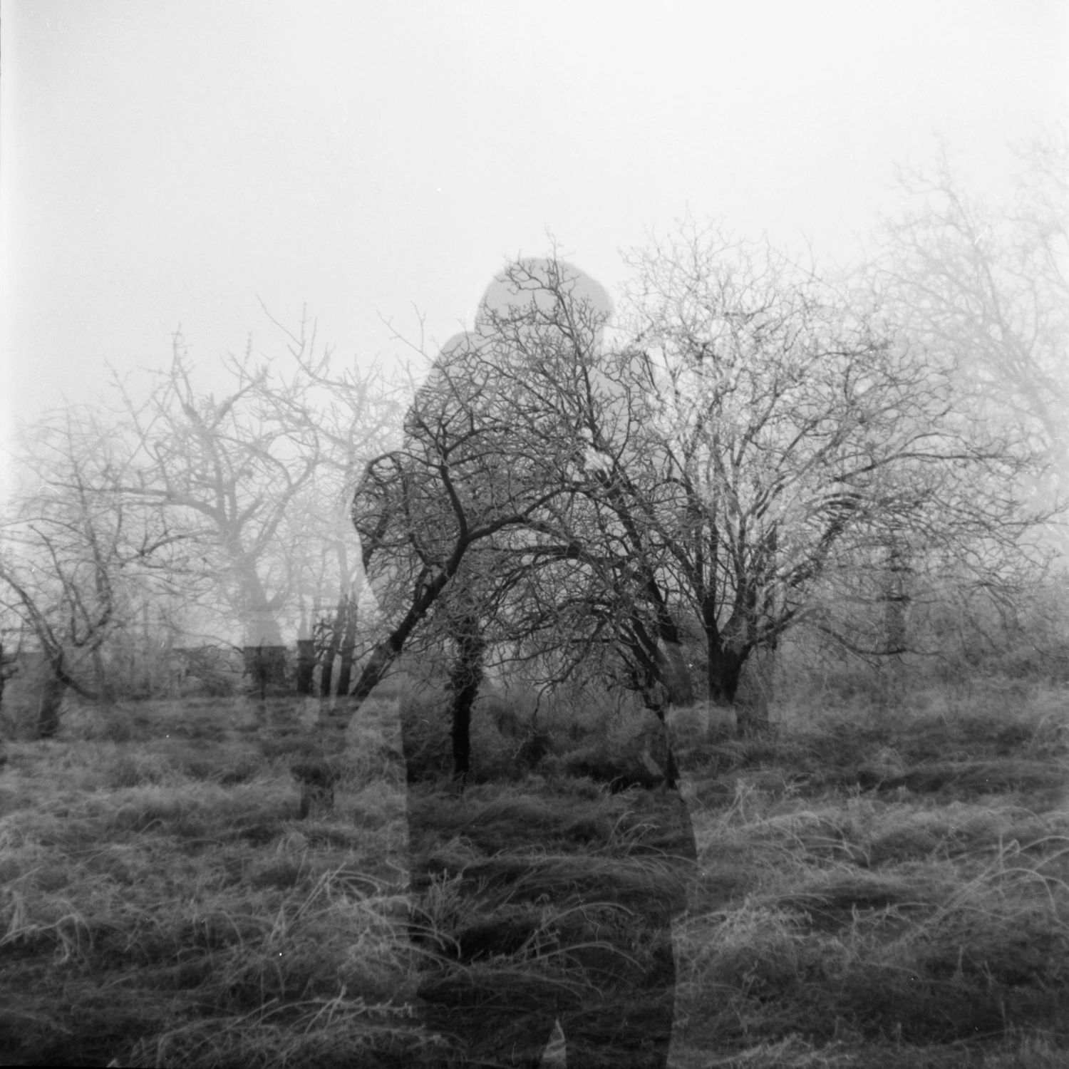 Double expo shot on Kodak T-Max 100 with a Kodak Brownie Flash, by Kanokoso