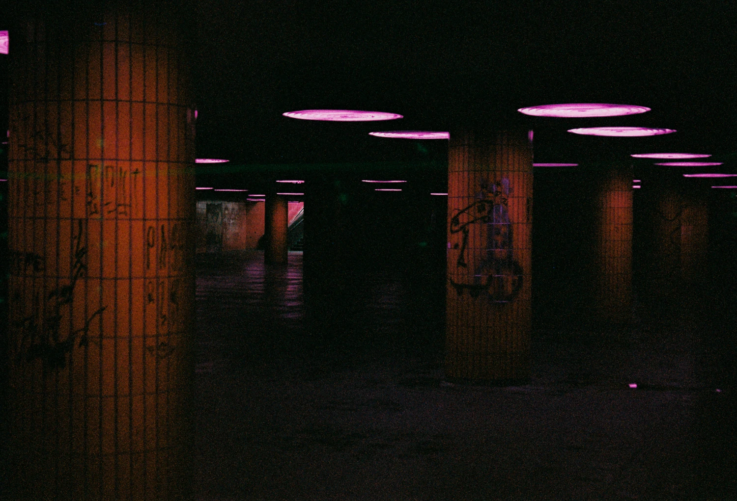 Irreversible shot on Lomography LomoChrome Purple 100 with a Porst Compact Reflex SP, by Diego Osses