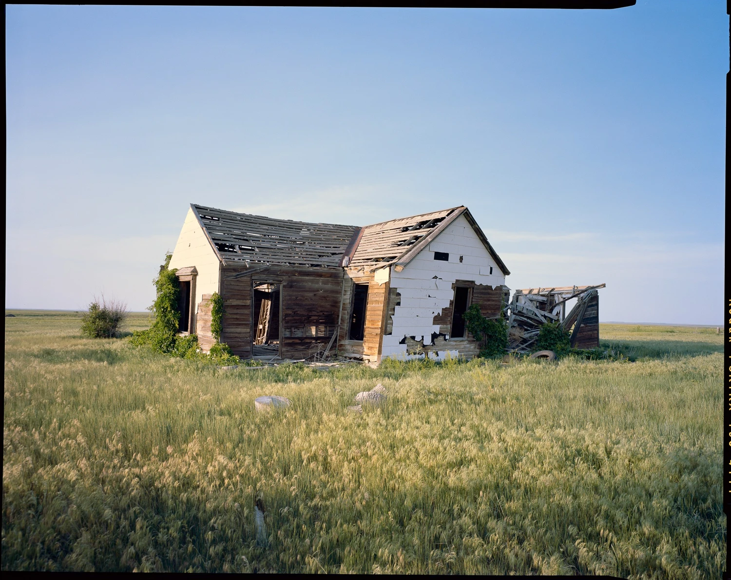Film photo shot on Kodak Portra 160 with a Chamonix 45F-2, by Aimless