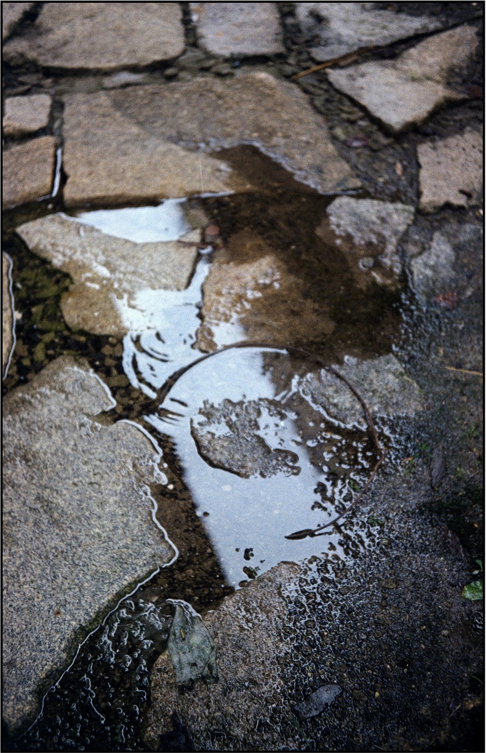 Film photo shot on Kodak ColorPlus 200 with a Voigtländer VF101, by jmfo
