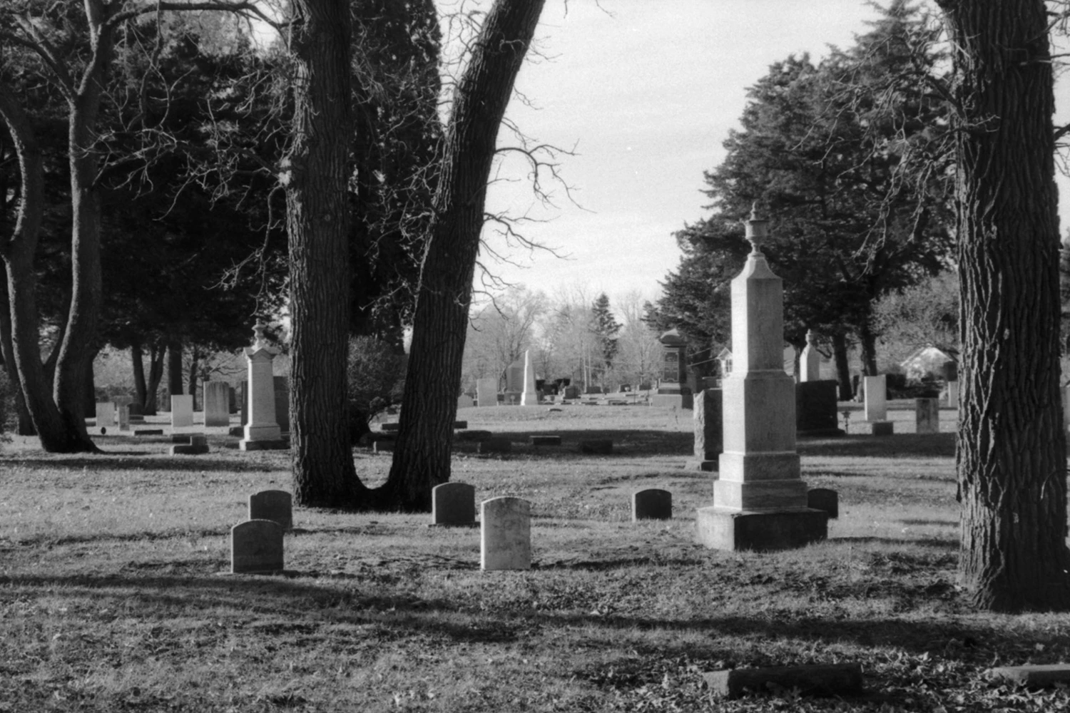Film photo shot on Film Photography Project Frankenstein 200, by Jimmy Watrous