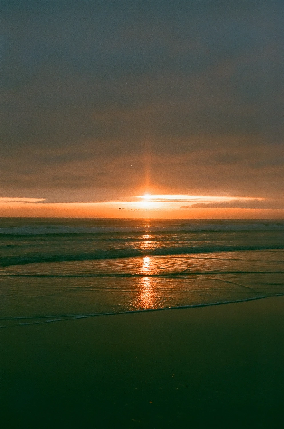 Sunrise on New Years Day shot on Fujifilm Superia X-TRA 400 with a Minolta X-370N, developed at The DarkRoom, by David Stanick