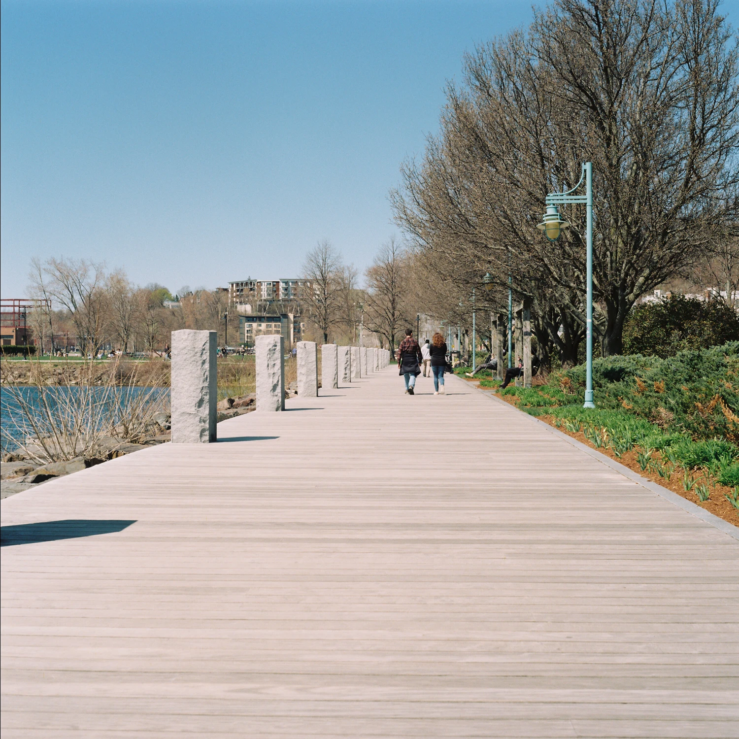 Lake Walk shot on Kodak Gold 200 with a Ricoh Diacord TLR, by Wade