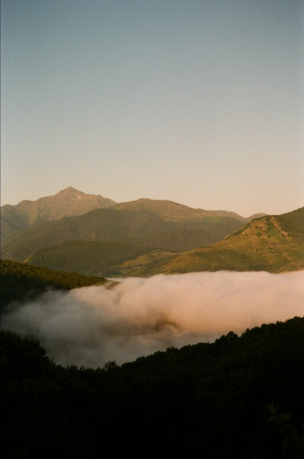 Mountain by cloud sea shot on Kodak Gold 200 with a Kodak Retinette 1B, by Clément Laroche