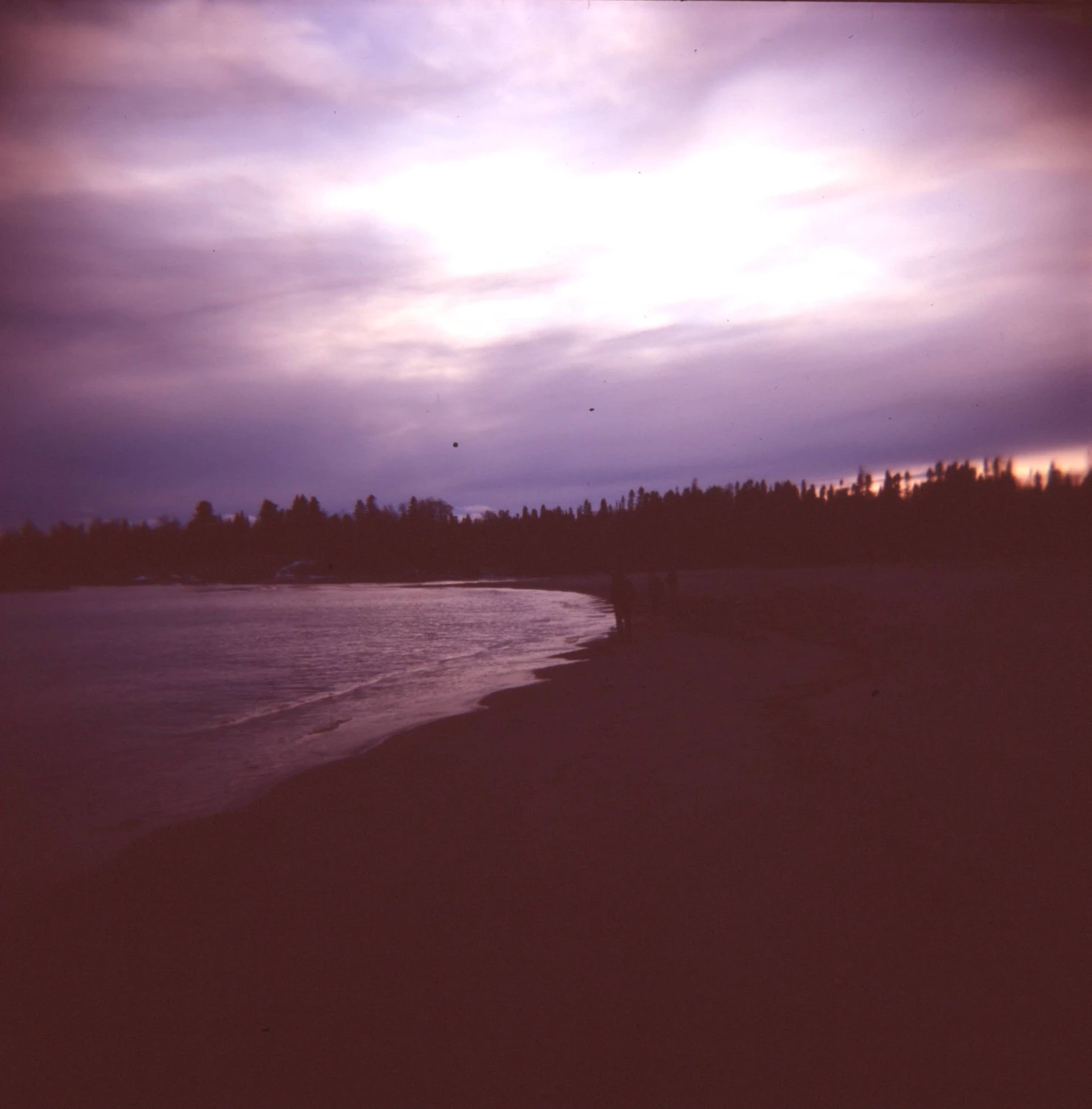 Film photo shot on Fujifilm Velvia 100 with a Holga 120 CFN, by Megs Benedict