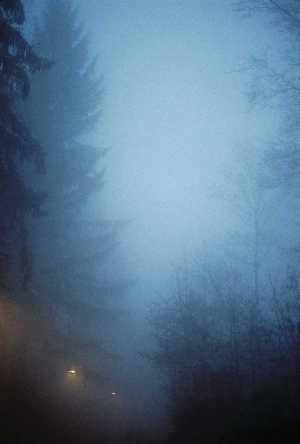 blue fog shot on Cinestill 400D with a Minolta Dynax 7000i, developed at dipixelprinter, by Lukas
