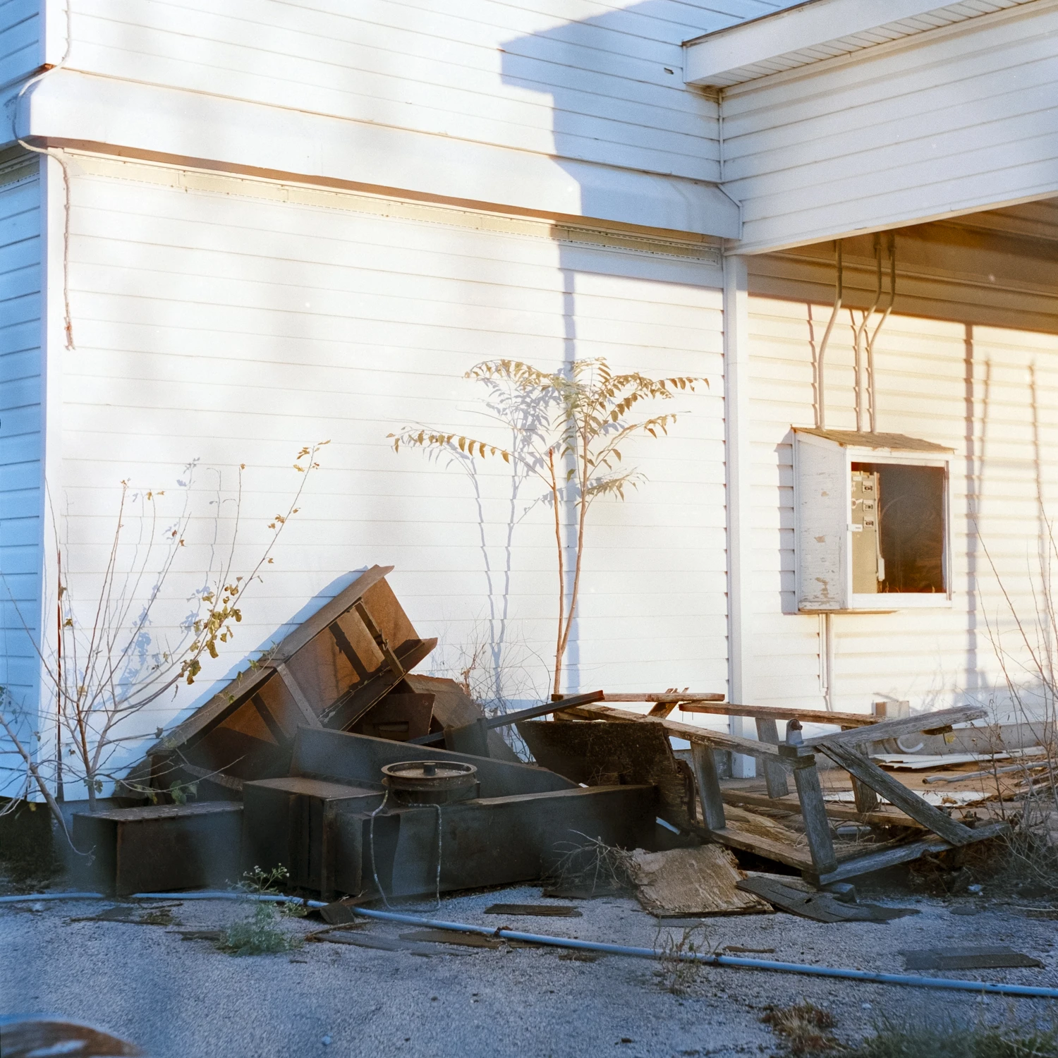 Dilapidated shot on Cinestill 400D with a Mamiyaflex C2, by Cray