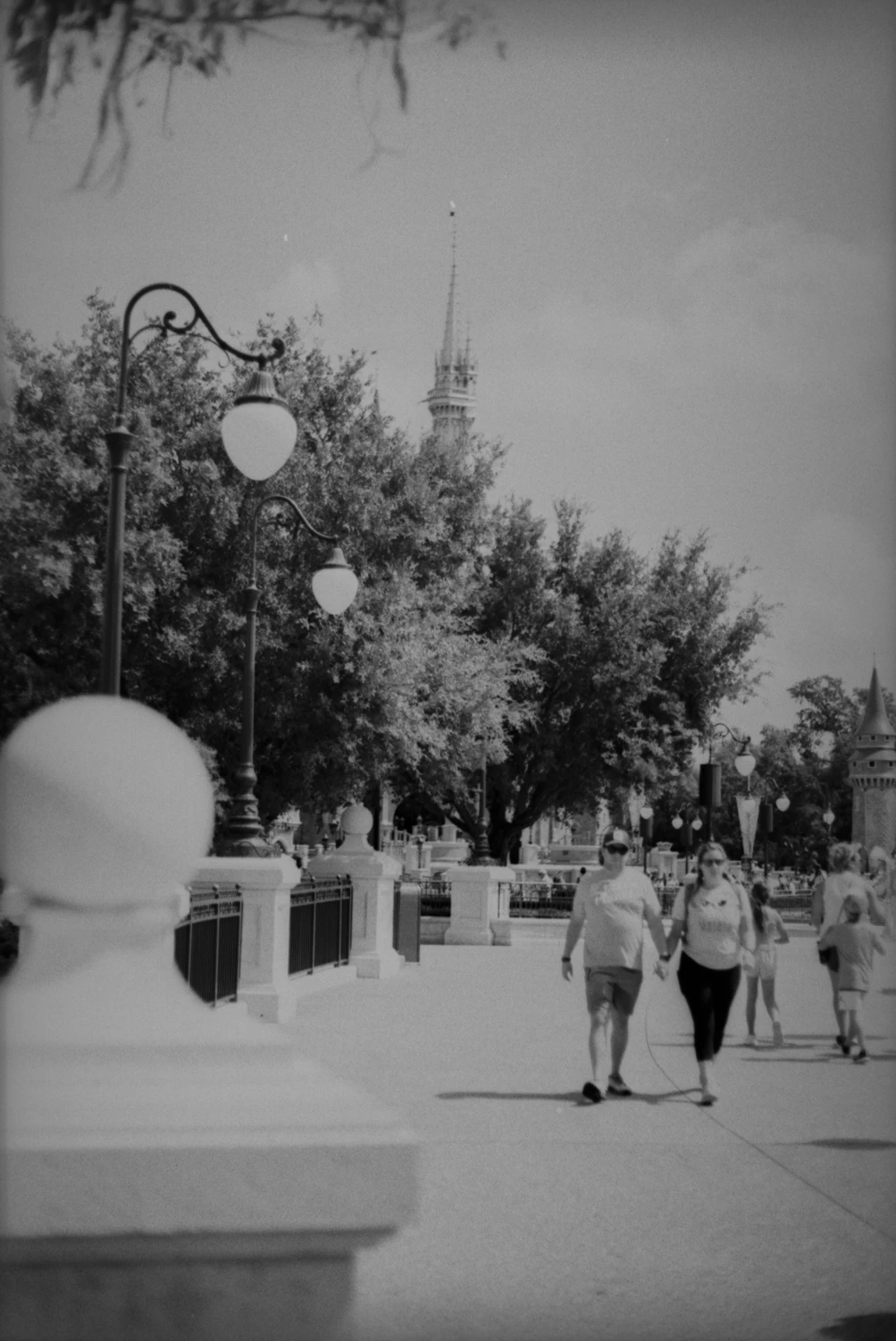 Film photo shot on Film Photography Project Dracula 64 with a Minolta X-370N, by David Stanick