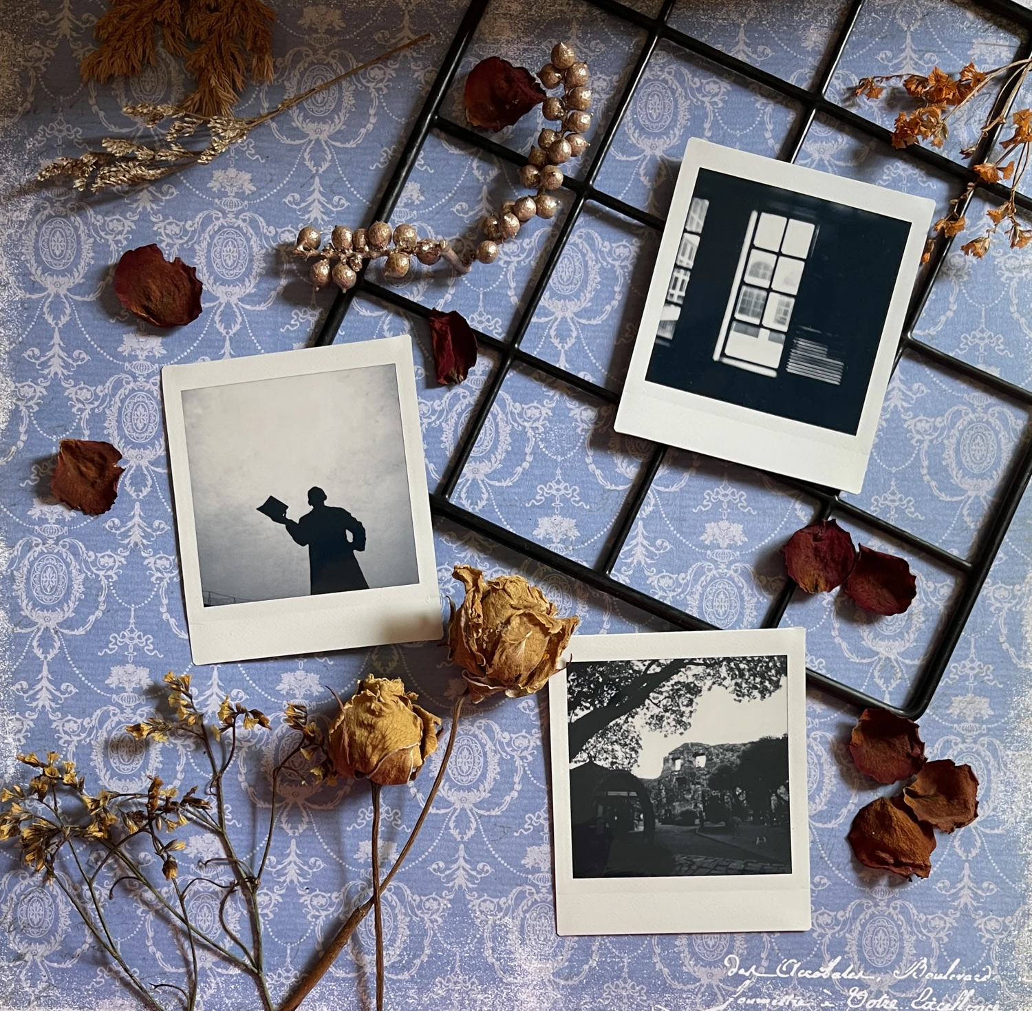 Shadows shot on Fujifilm Instax Square Monochrome with a Fujifilm Instax Square QQ6, by Coeli