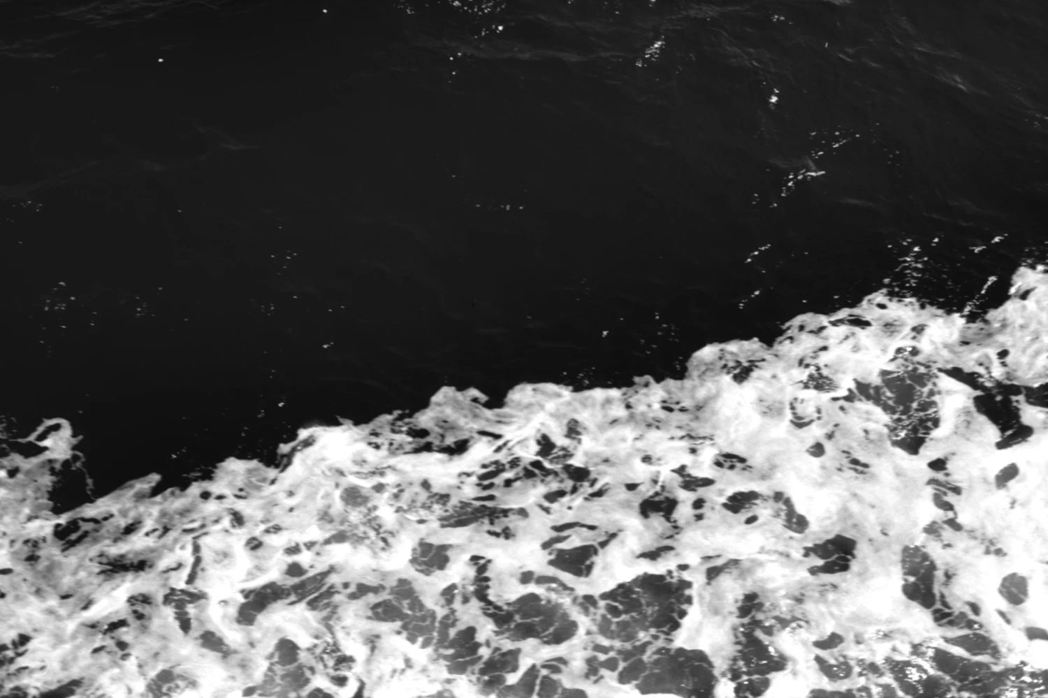 La Caronte shot on Foma Fomapan 100 Classic with a Minolta XG-2, by Ema Kuroko