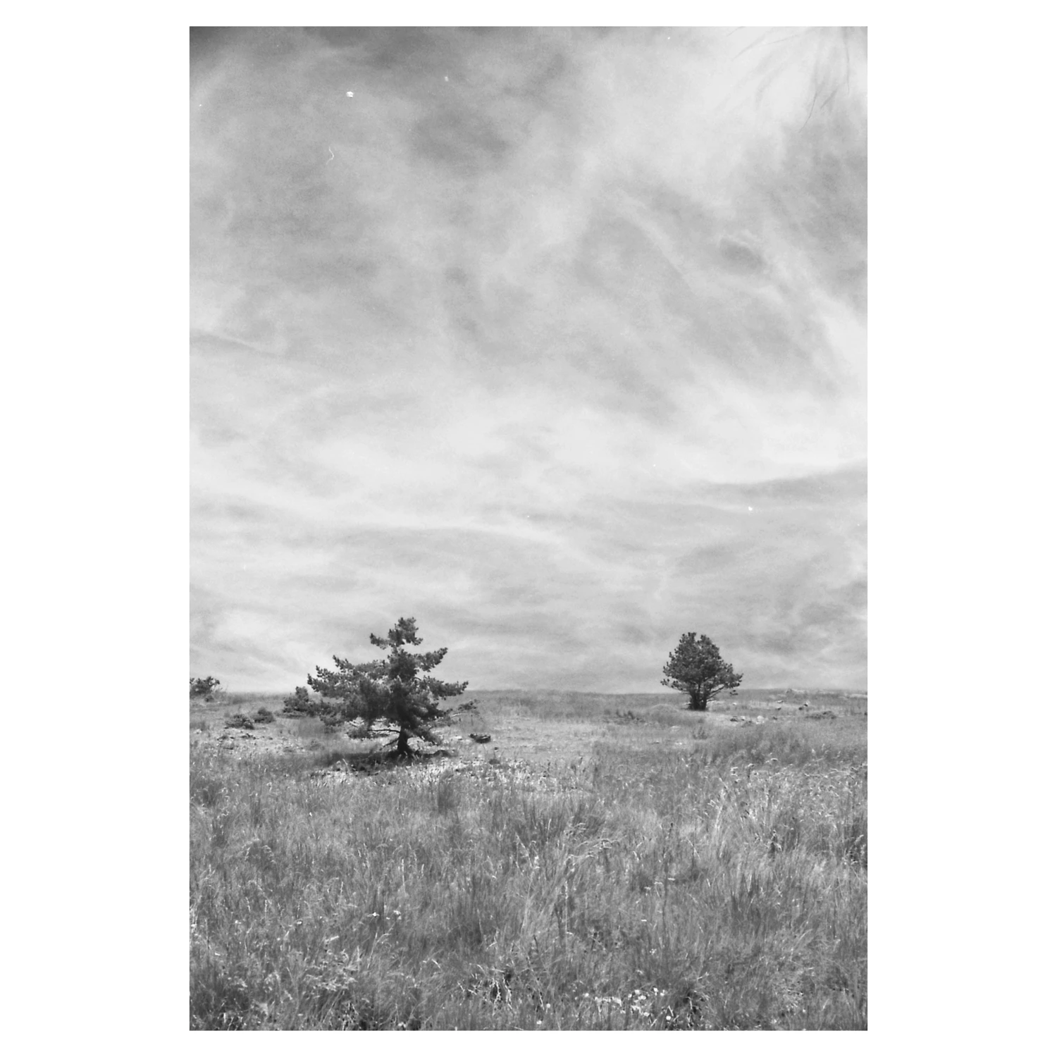 Landscape shot on Film Washi Film Washi Z with a Yashica Electro 35 GTN, by Edbz