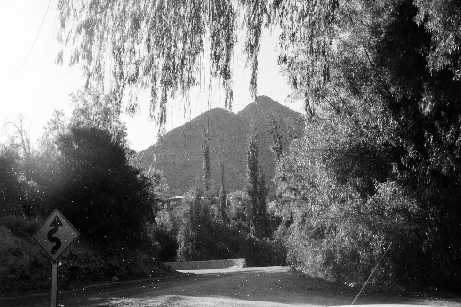 Film photo shot on Arista EDU Ultra 400 with a Yashica Electro 35 G, by Gustavo Otárola