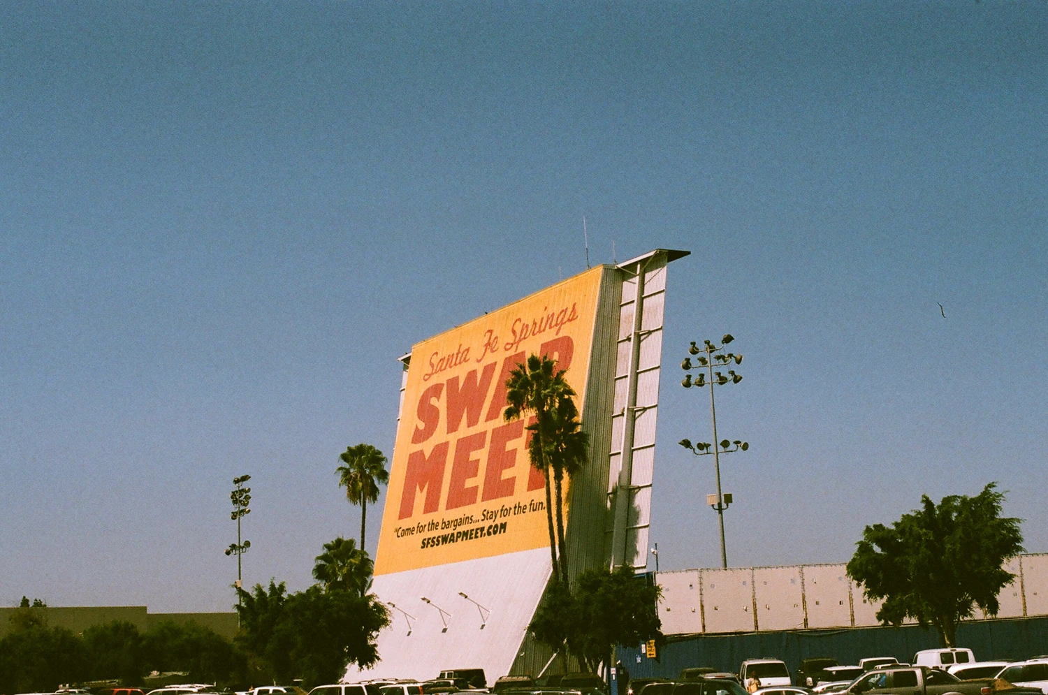 SUNDAY SWAP shot on Kodak Portra 400 with a Pentax P3N, by Cat
