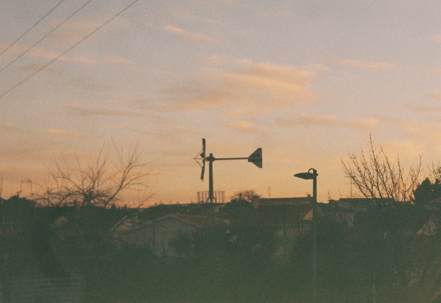 Film photo shot on Fujifilm FujiColor C100 with a Olympus Superzoom 800S, by Guilherme Carvalho