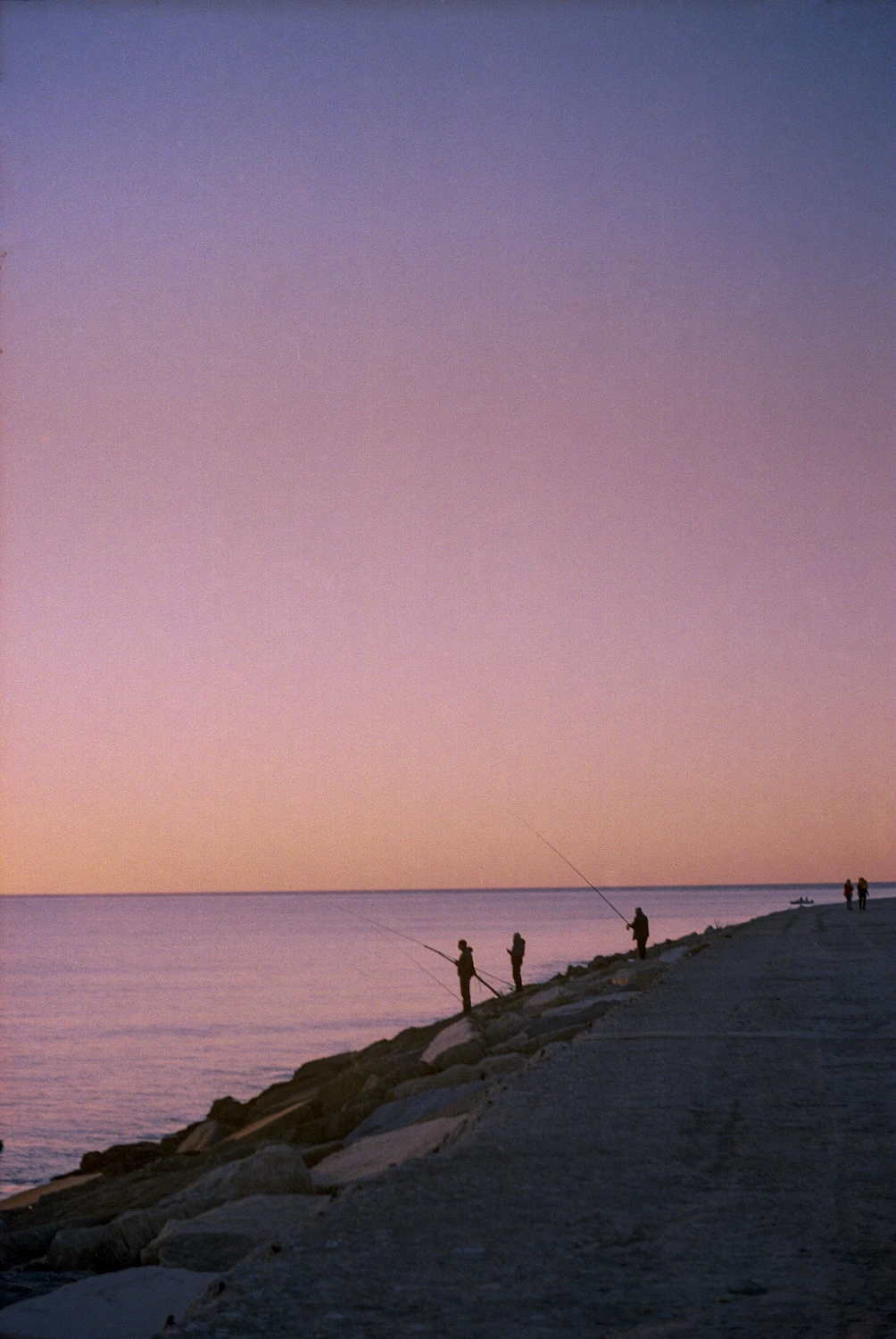 golden hour shot on Kodak Portra 400 with a Topcon Unirex, by Mariana