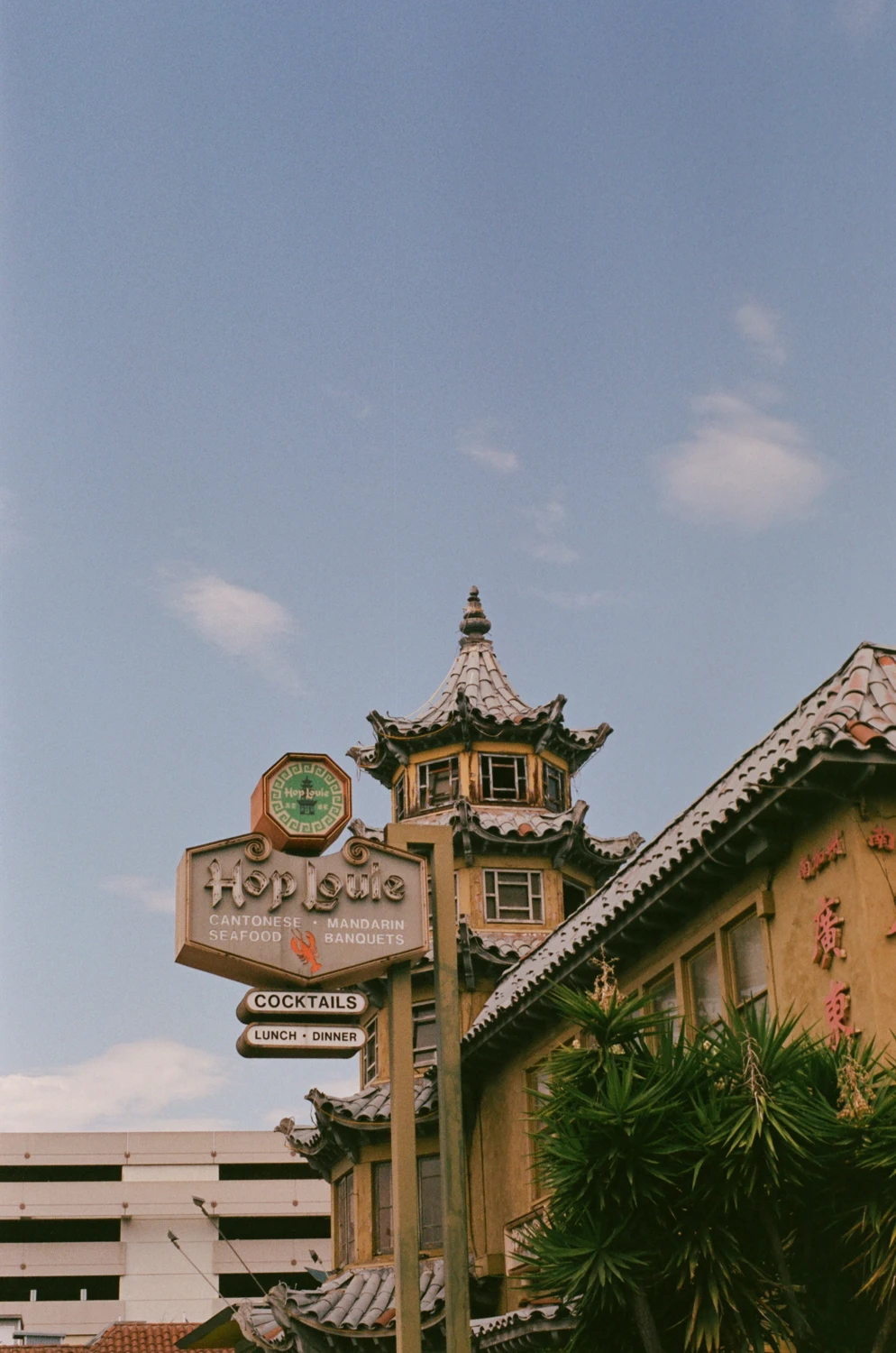 Chinatown shot on Fujifilm FujiColor C200 with a Pentax P3N, by Cat
