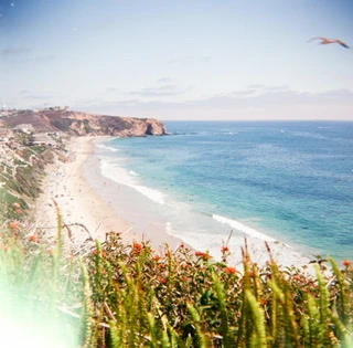 plastic camera light leaks shot on Kodak Ektar 100 with a Imperial Mark XII, by Allison Jacobs