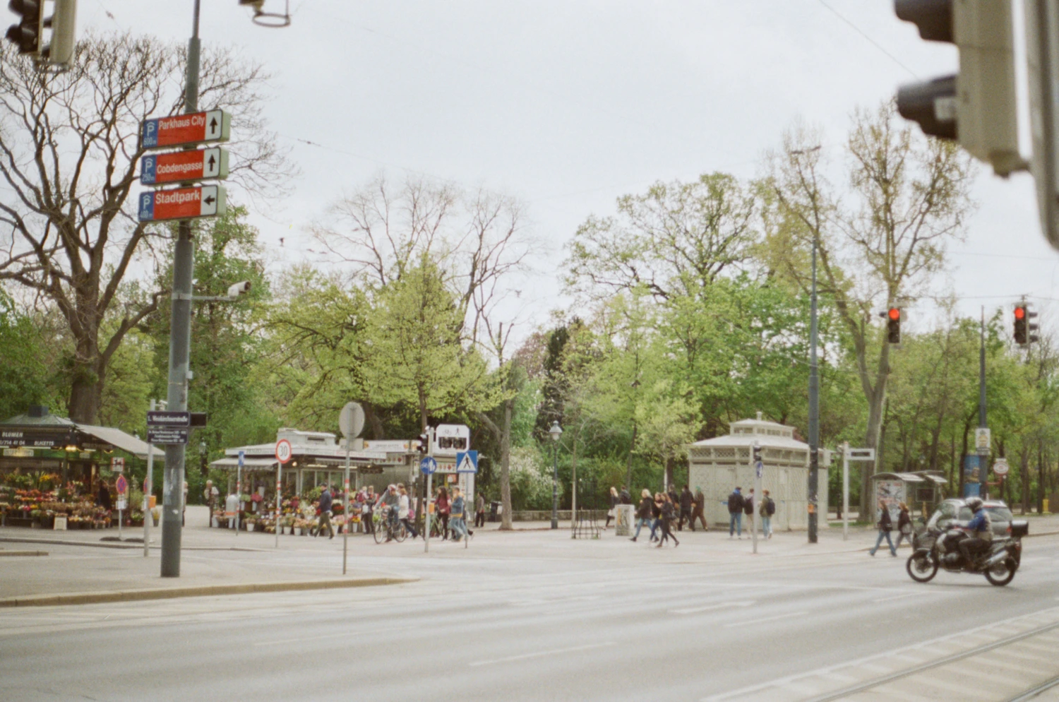 early spring shot on Kodak Gold 200 with a Yashica FX-D SE Quartz, by reflects_a_moment