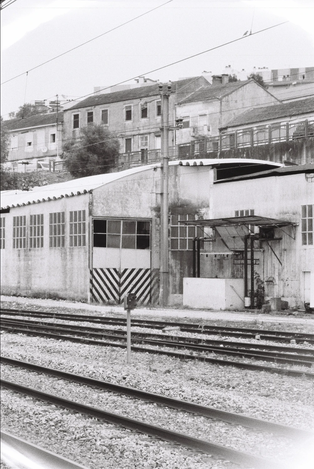 black and white yellow gate shot on Ilford HP5 Plus 400 with a Olympus Superzoom 800S, by Guilherme Carvalho