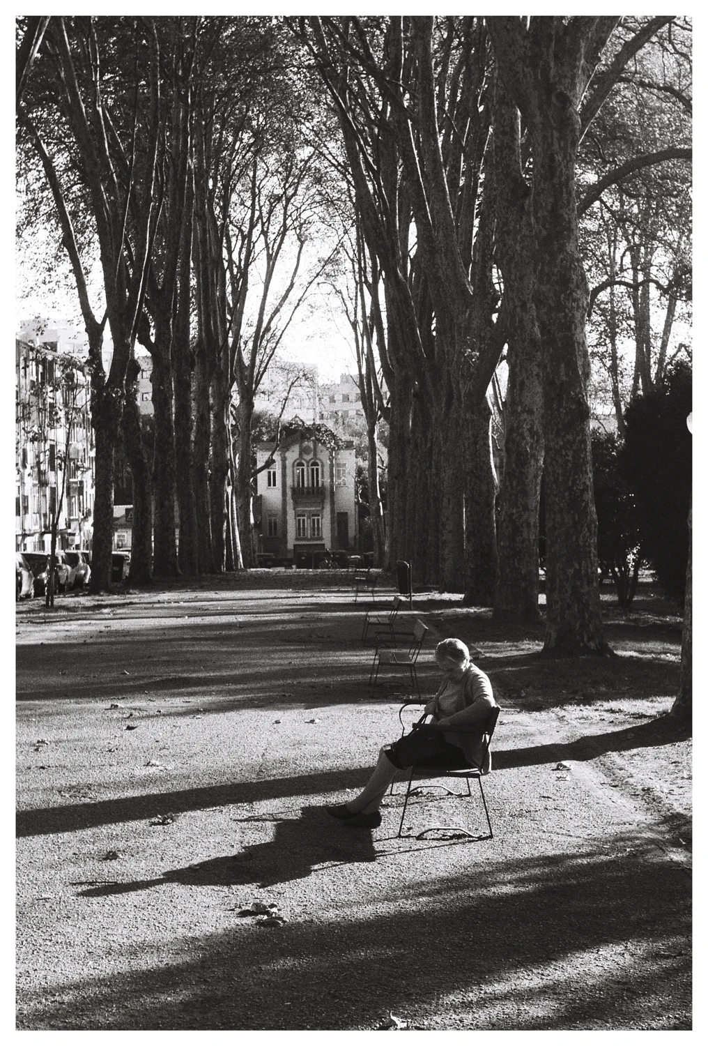 Solidão II shot on Ilford FP4 Plus 125 with a Jenaflex AC-1, by António Teixeira