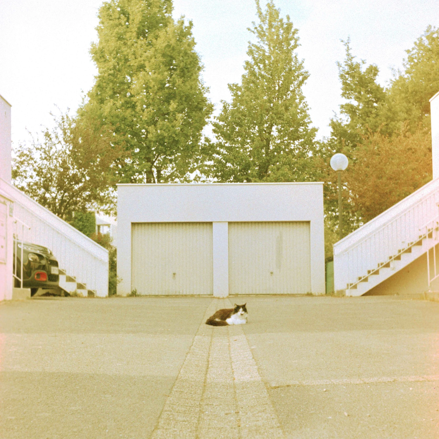 The Questmaster shot on Rollei Crossbird 200 with a Rolleiflex Baby 4x4, by Dinography