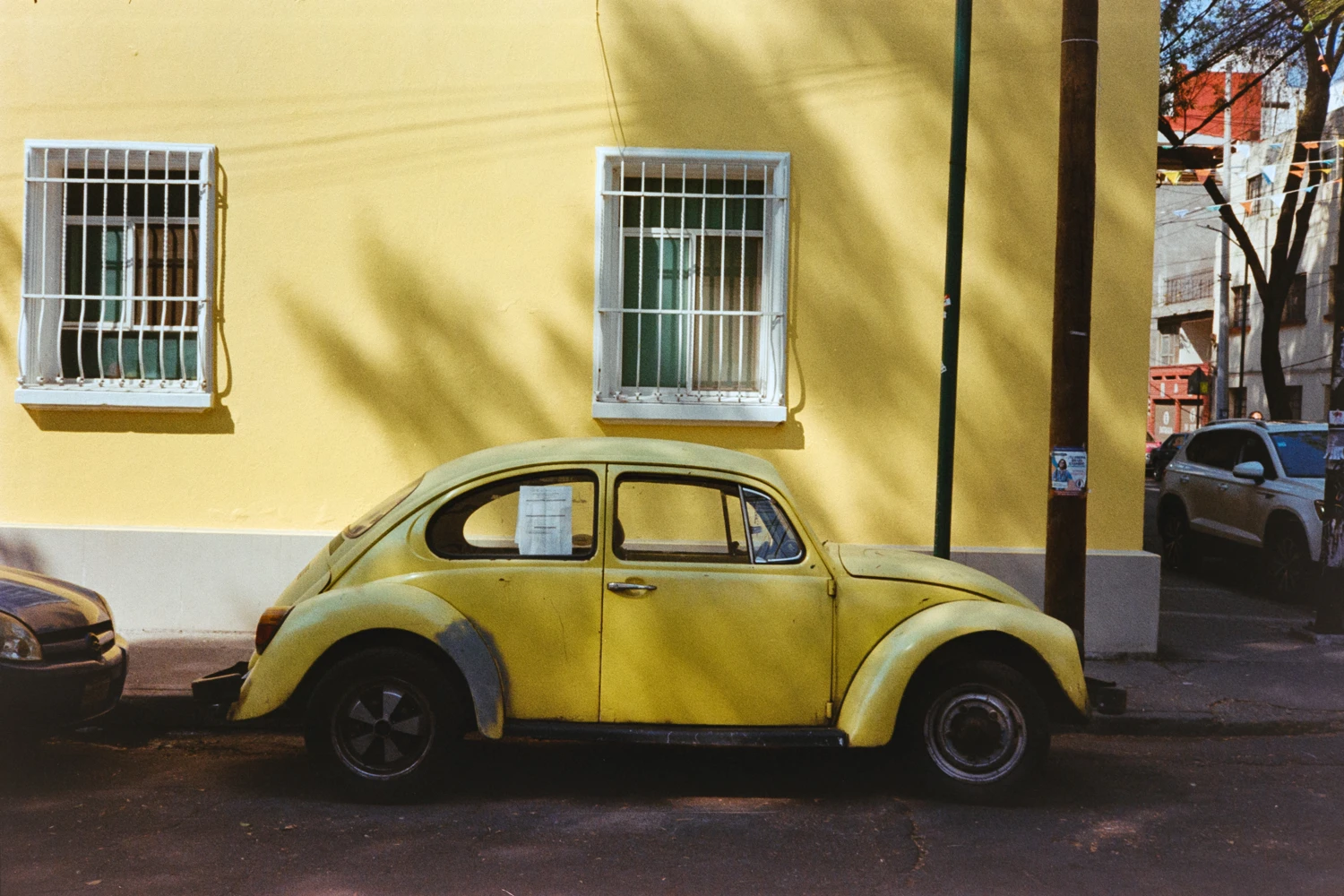 Bocho amarillo shot on Fujifilm FujiColor C200 with a Konica C35, developed at Foto Citlali , by Carlos Neri