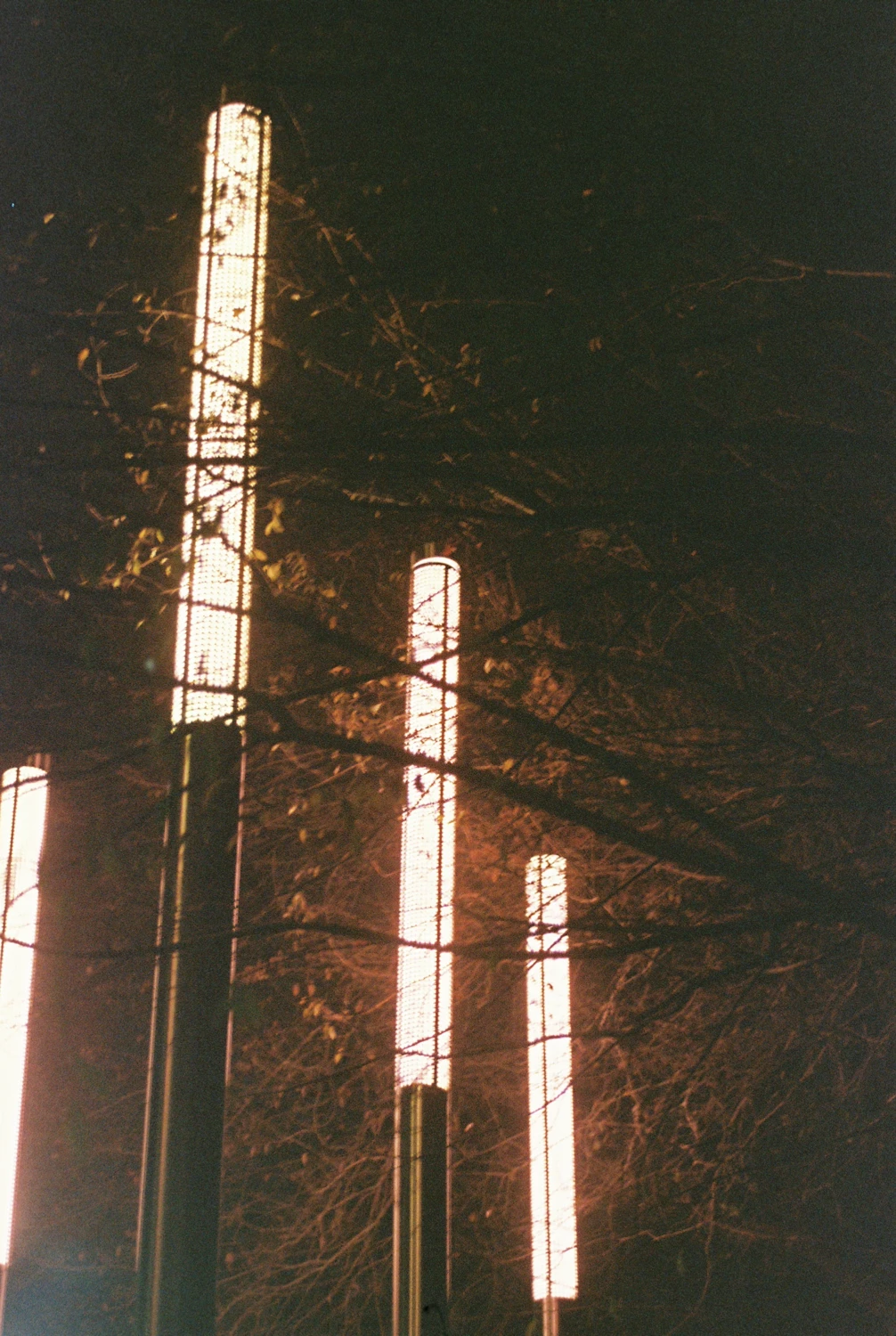 lights outside bixby shot on Fujifilm Superia X-TRA 400 with a Nikon N50, by Lucas Morace