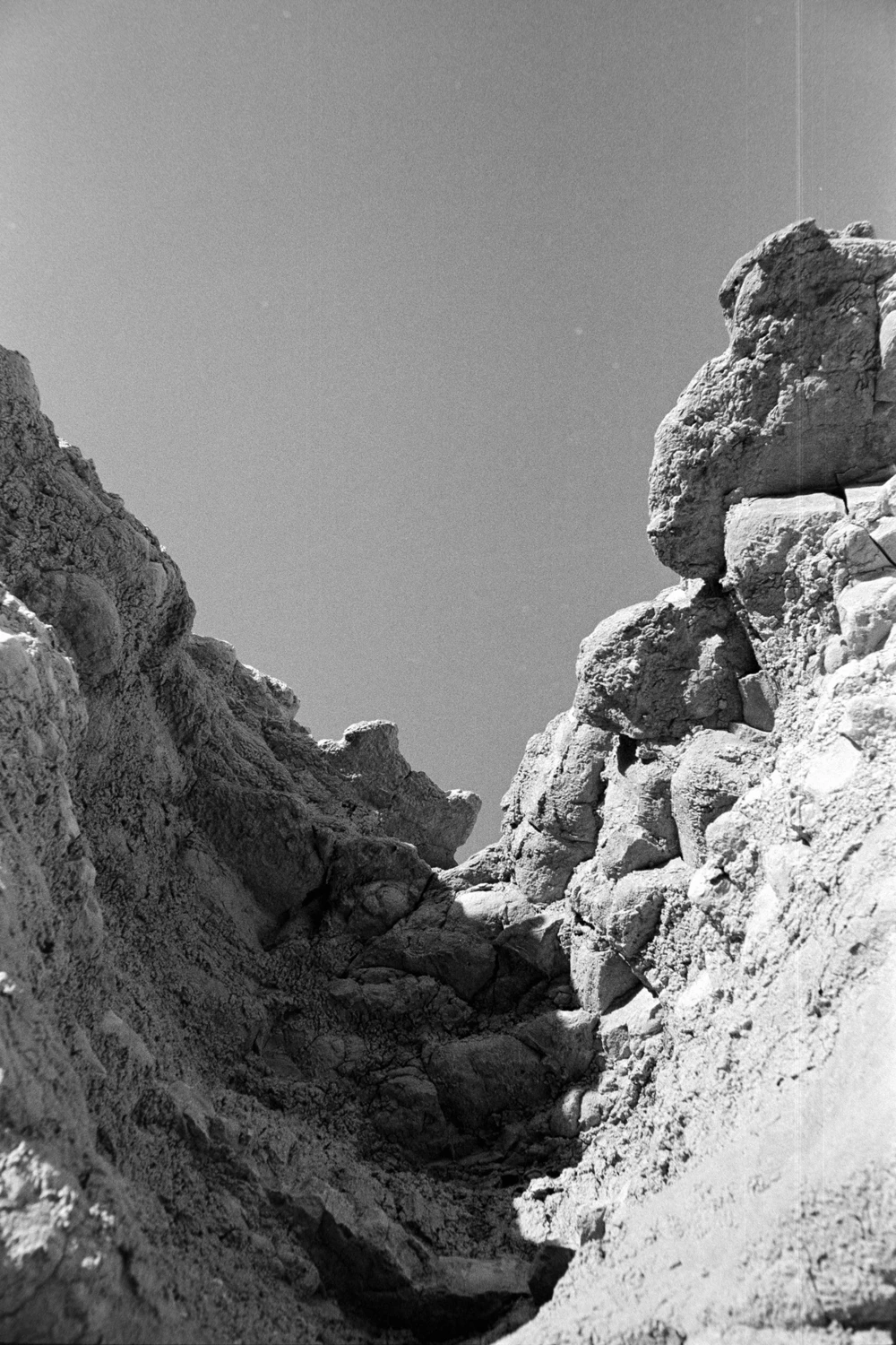 Film photo shot on Kodak T-Max 400 with a Nikon SP, by Squid