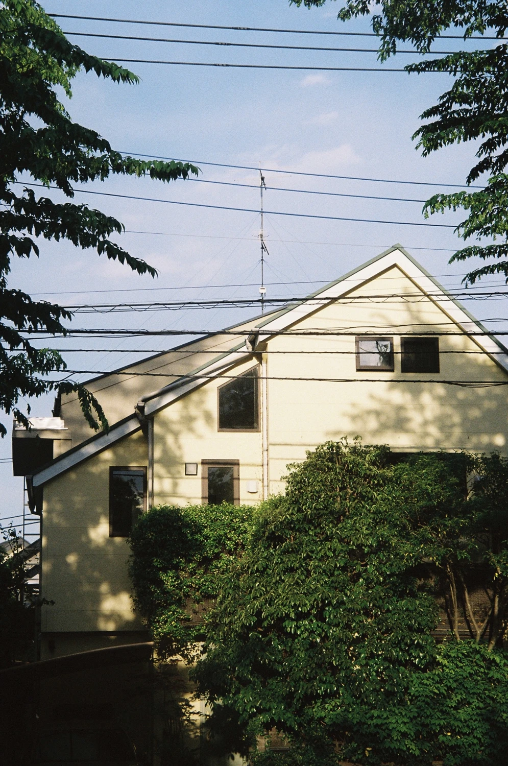 Film photo shot on Fujifilm Superia Premium 400 with a Minolta Alpha 303si Super, by Salma