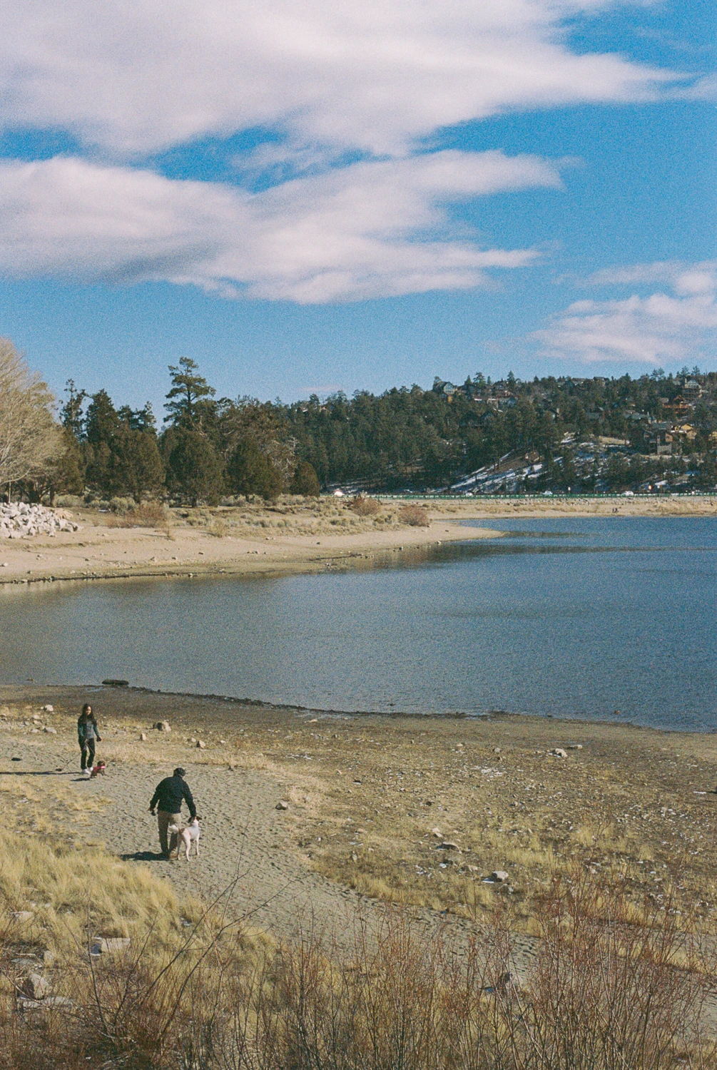 Lakeside shot on Kodak Max Versatility 400 with a Pentax Spotmatic, by Aki Wandering