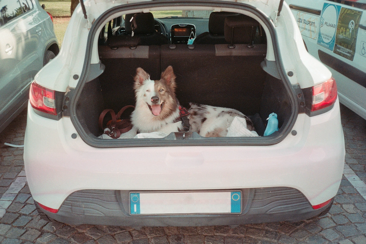 Fellow adventurer shot on Kodak ColorPlus 200 with a Konica Pop, by Andrea