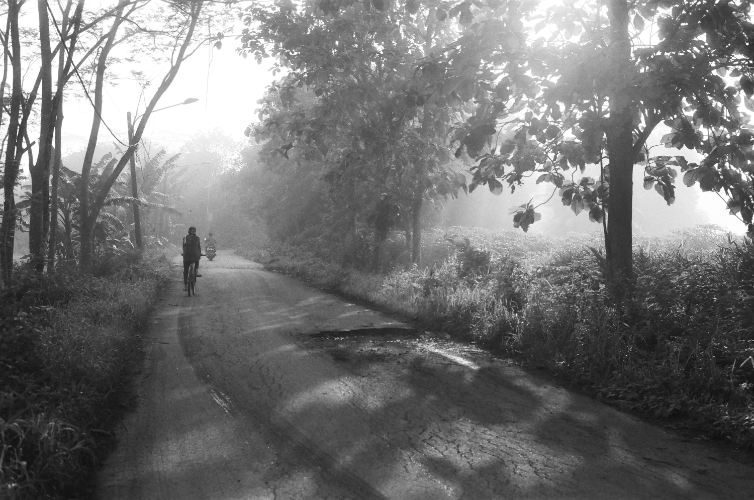 Morning Activity shot on Ilford Kentmere Pan 100 with a Canon TLB, by Haryanto