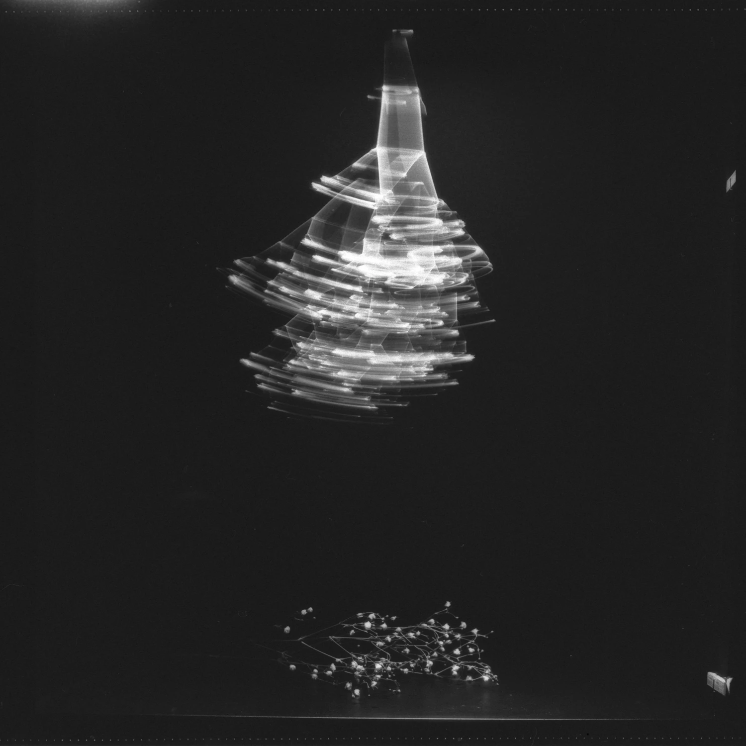20220411_011 shot on Film Washi Film Washi F with a Pentacon Six TL, by Ema Kuroko