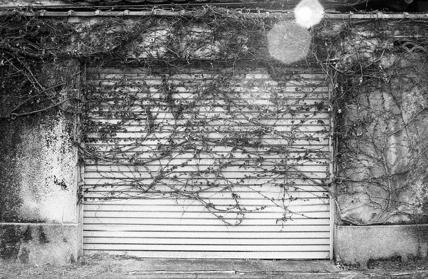 Film photo shot on Orwo N75 with a Minolta Alpha 303si Super, by Salma