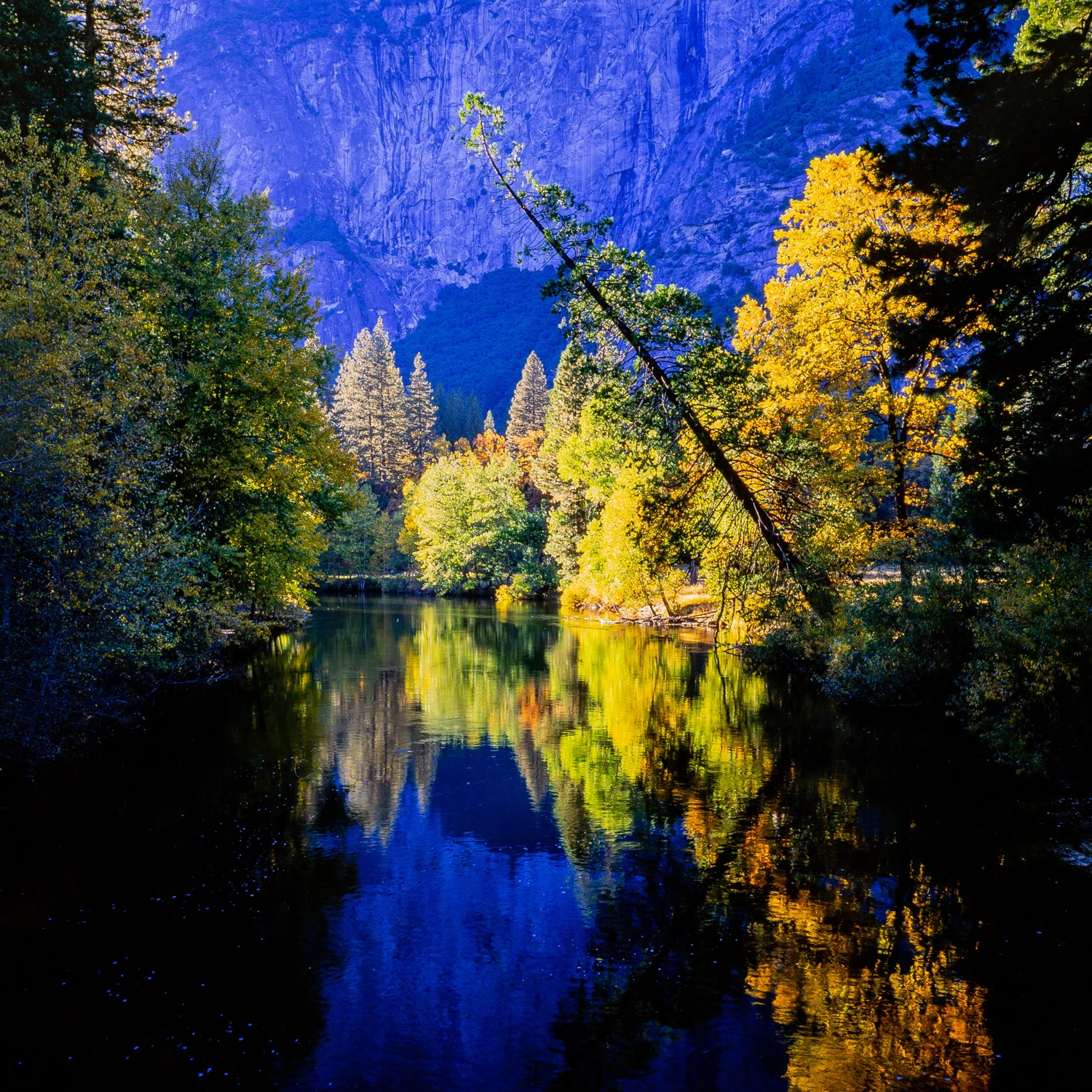 Slow Fall shot on Fujifilm Velvia 50 with a Rolleiflex 3.5E, by Hunter