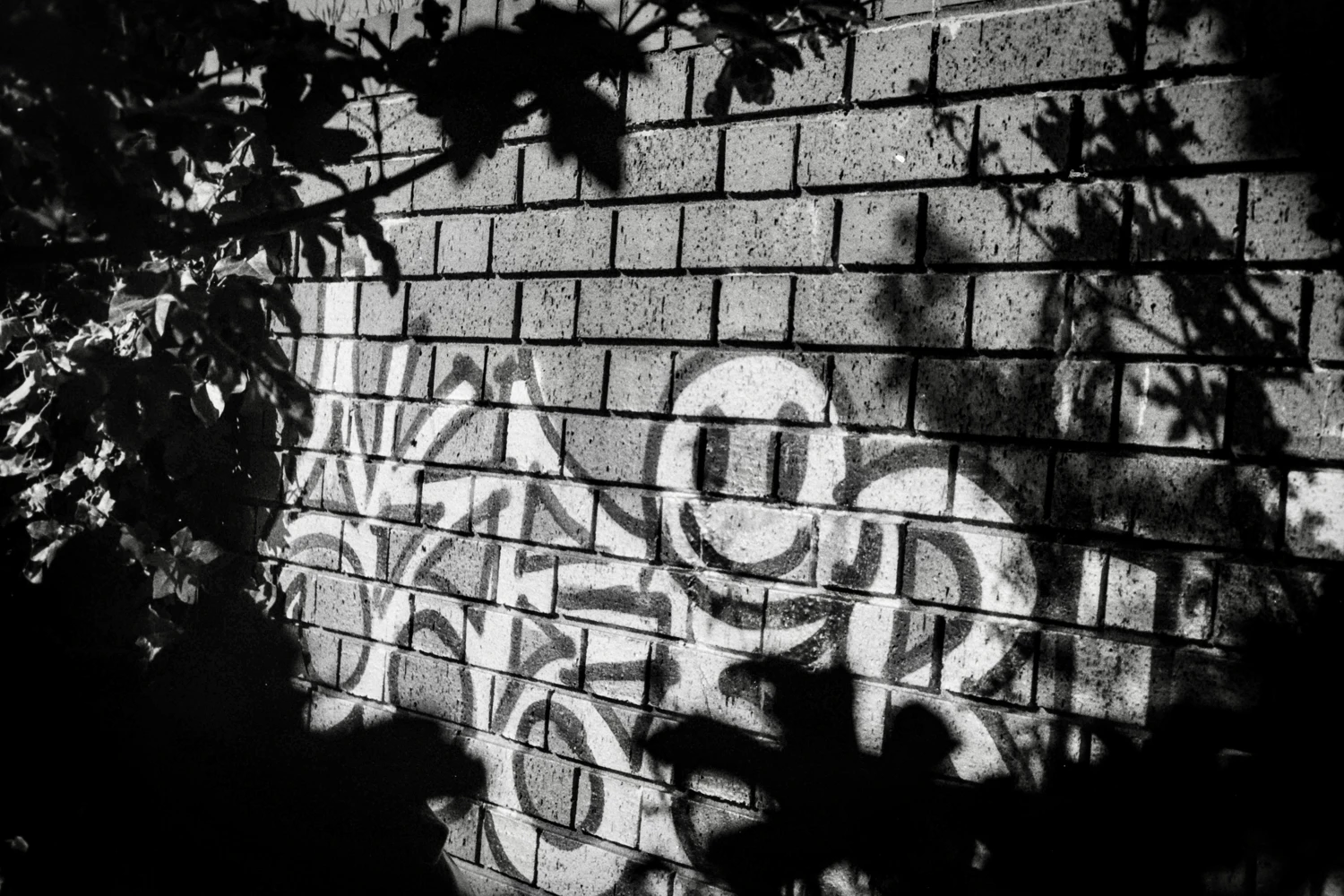 Street Art shot on Ilford Kentmere Pan 400 with a Minolta Hi-Matic 7s, by iamdanbarber
