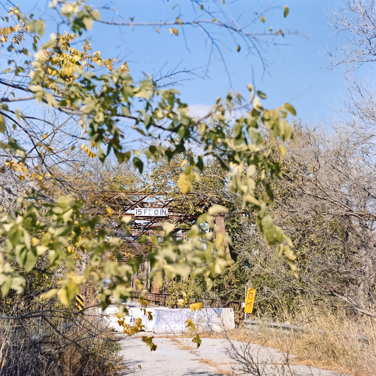 Bridge to a Lost Highway shot on Kodak Portra 400 with a Mamiyaflex C2, by Cray