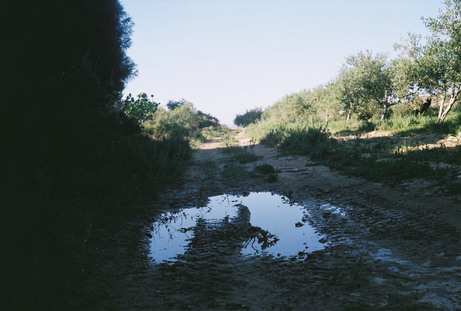 Puddles and paths shot on Kodak ColorPlus 200 with a Olympus 35LC, by Tipsy