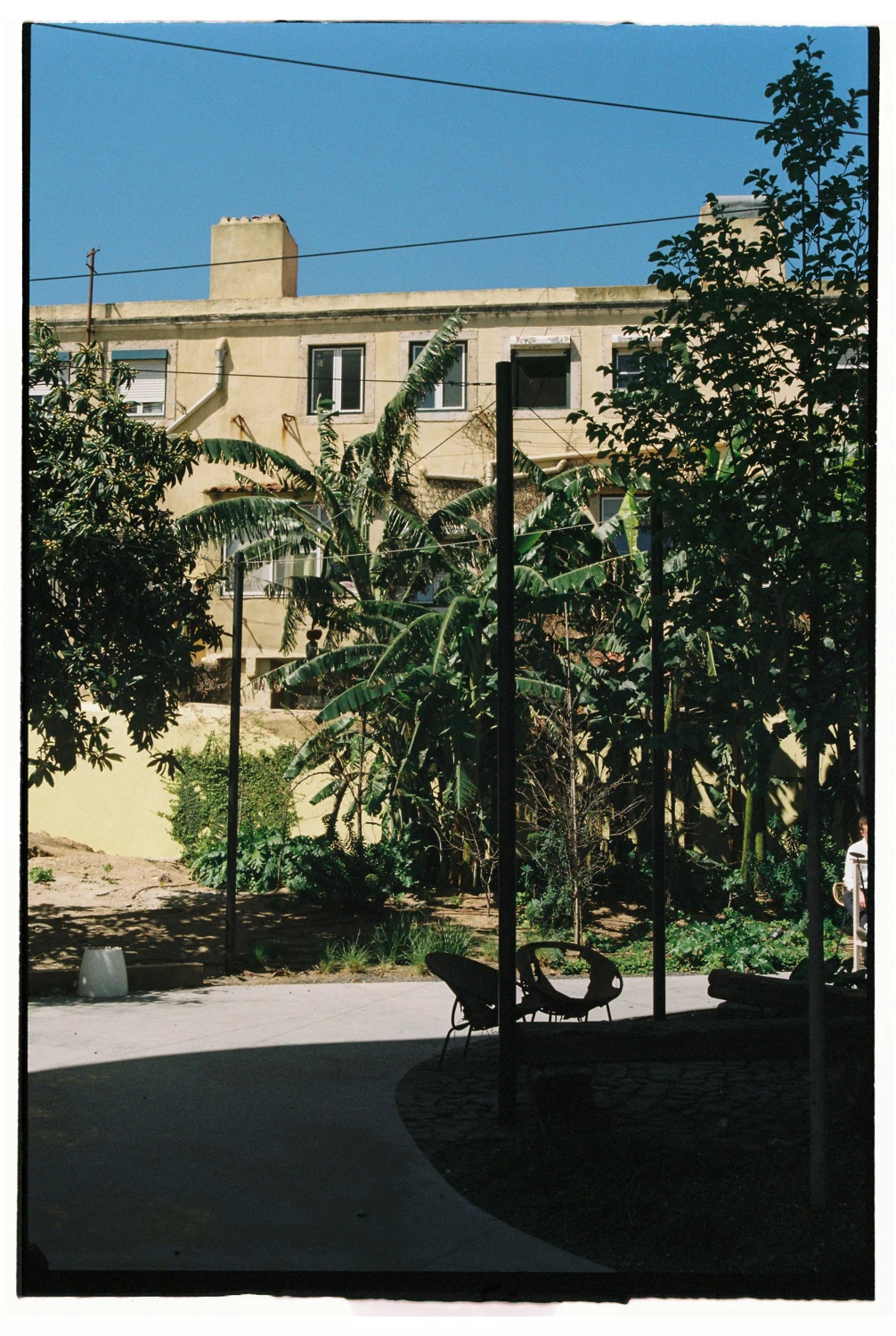 Sombras shot on Kodak Gold 200 with a Minolta Maxxum 3000i, developed at Carmencita, by Beatriz