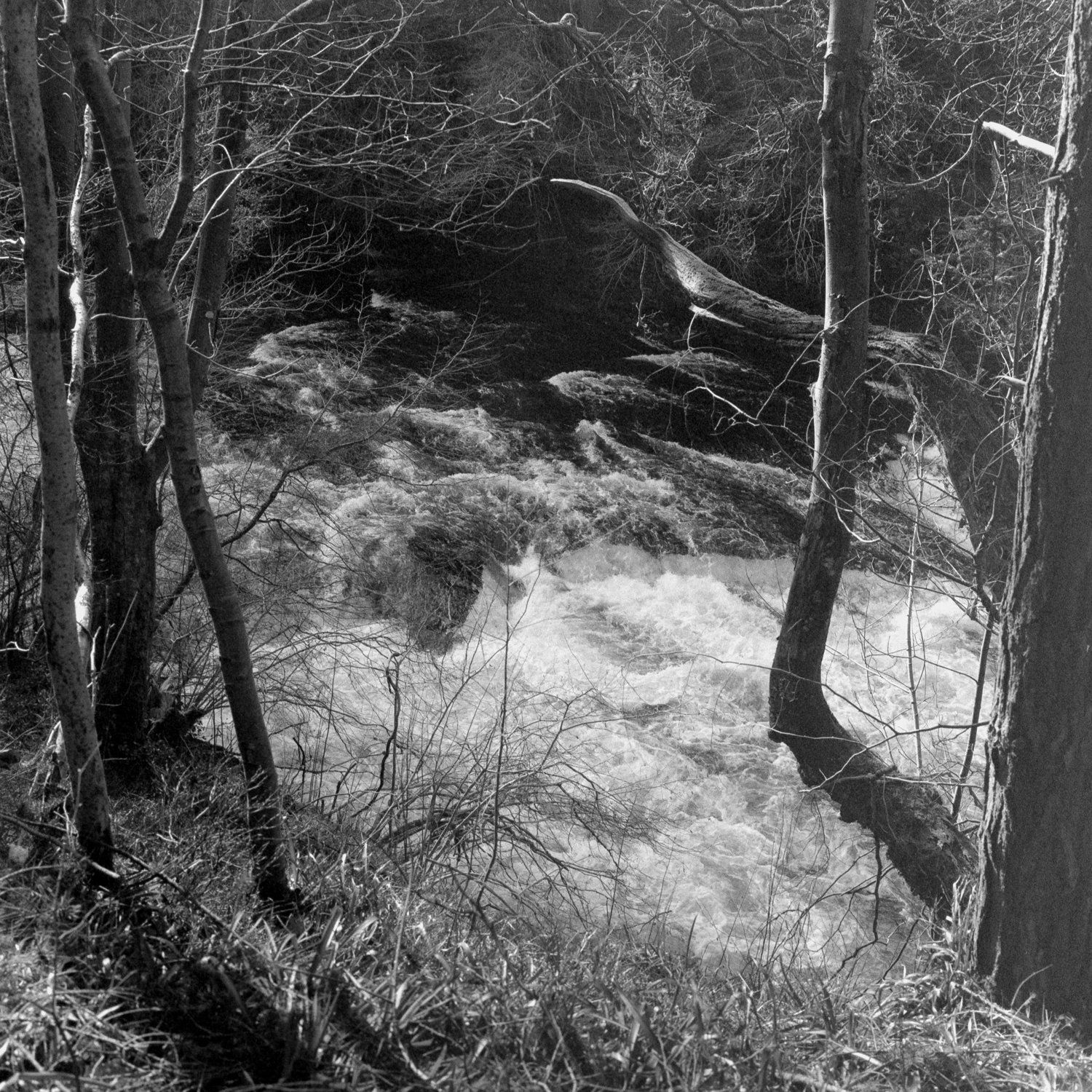 rushin’ shot on Ilford Delta 3200 with a Zenza Bronica EC, by Lewis Albert